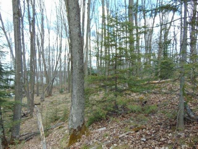 On South Bayview Road Presque Isle, WI 54557 - Photo 13 of 19 Gallery Image 13