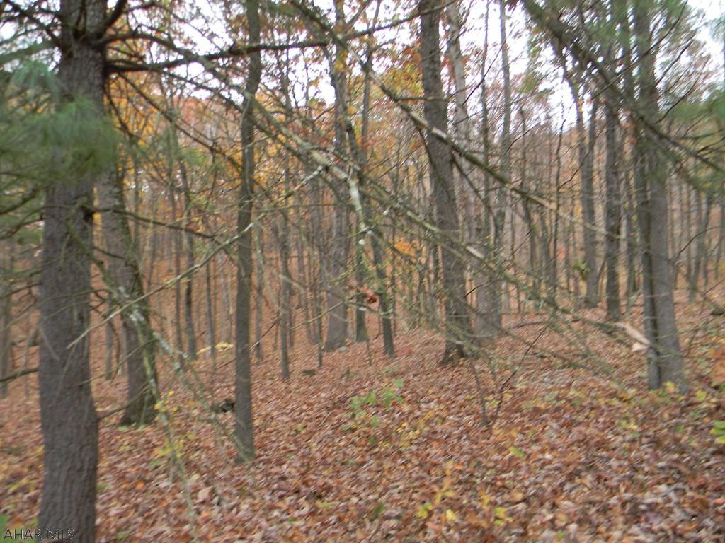 656 French Creek Road Everett, PA 15537 - Photo 2 of 6 a backyard of a house with lots of green space