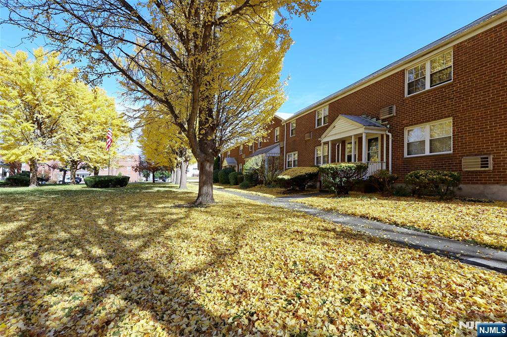 a front view of residential houses with yard and trees