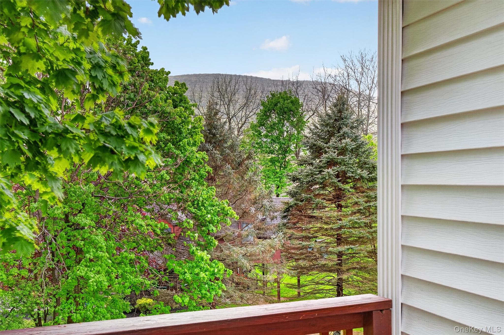 121 Old Glenham Road Fishkill, NY 12524 - Photo 41 of 50 Spacious outdoor deck with wood flooring and matching railings, featuring a verdant tree canopy backdrop and integrated stairs.
