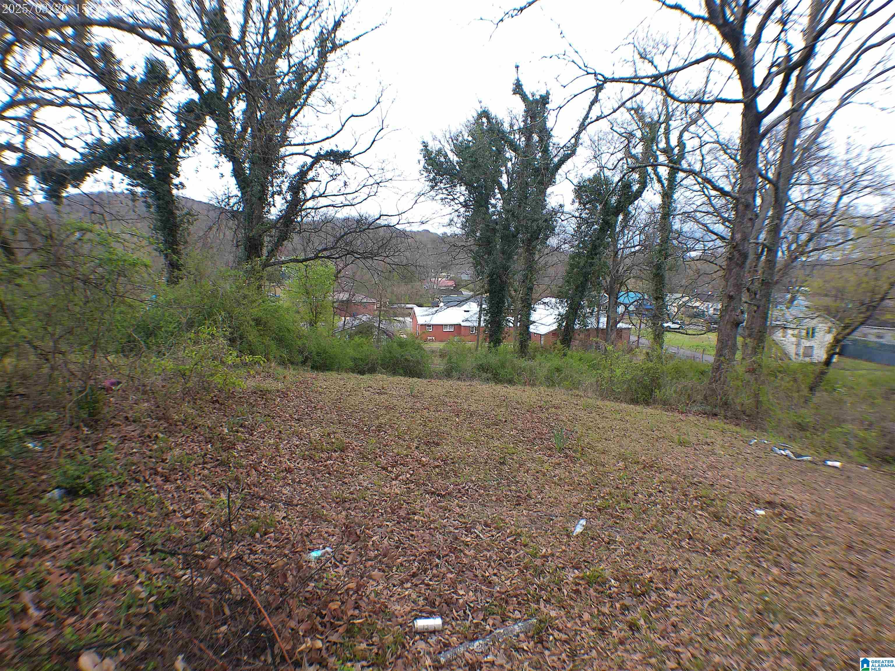 2409 Moore Avenue, Unit 4 Anniston, AL 36201 - Photo 1 of 2