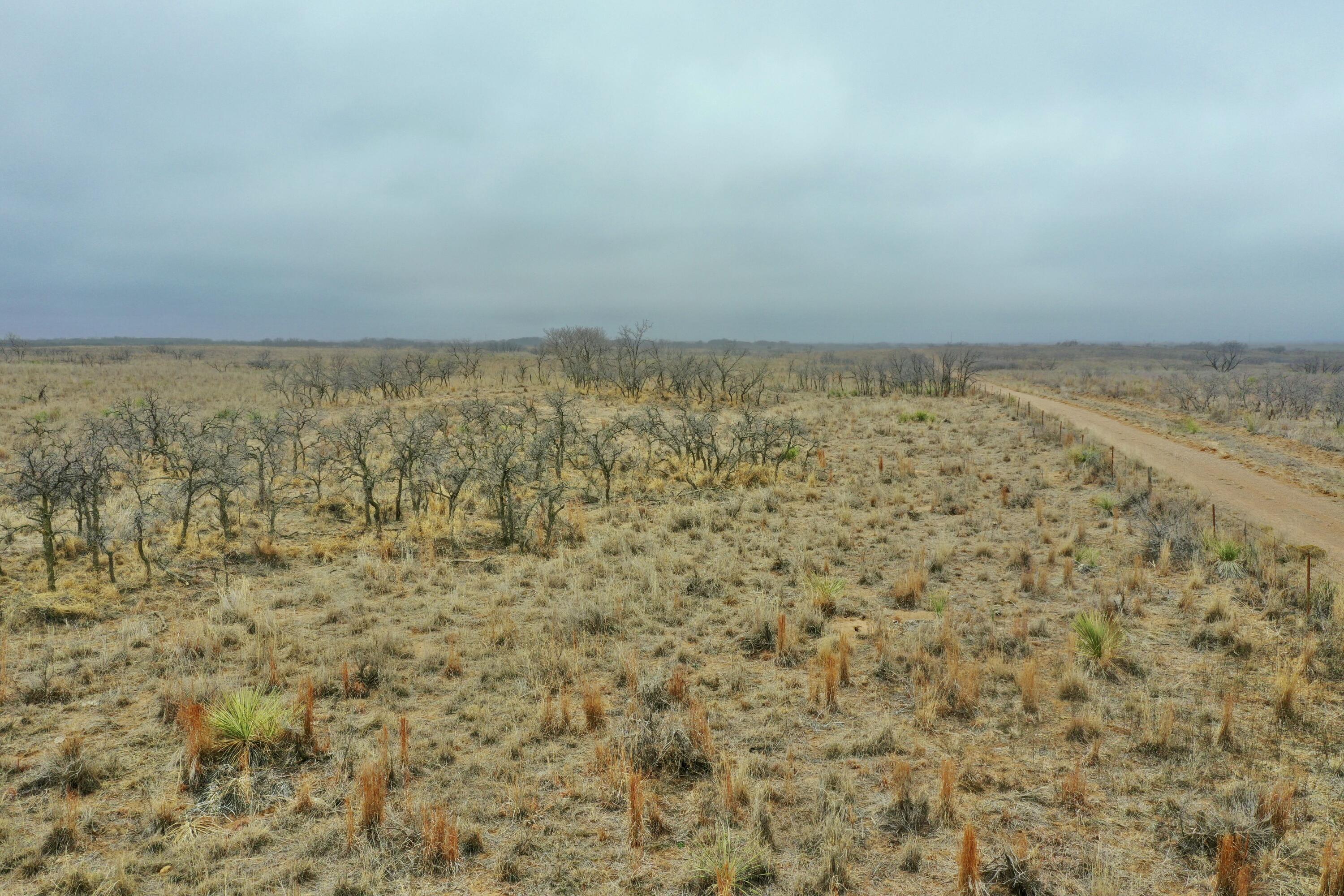 0 Us-70 Flomot, TX 79234 - Photo 12 of 42 a view of bathroom with a dry yard