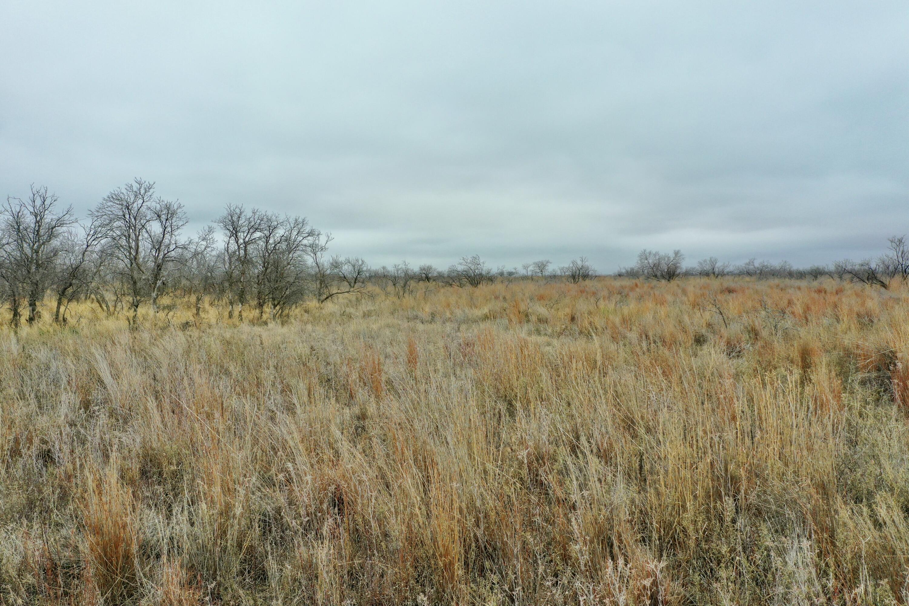 0 Us-70 Flomot, TX 79234 - Photo 17 of 42