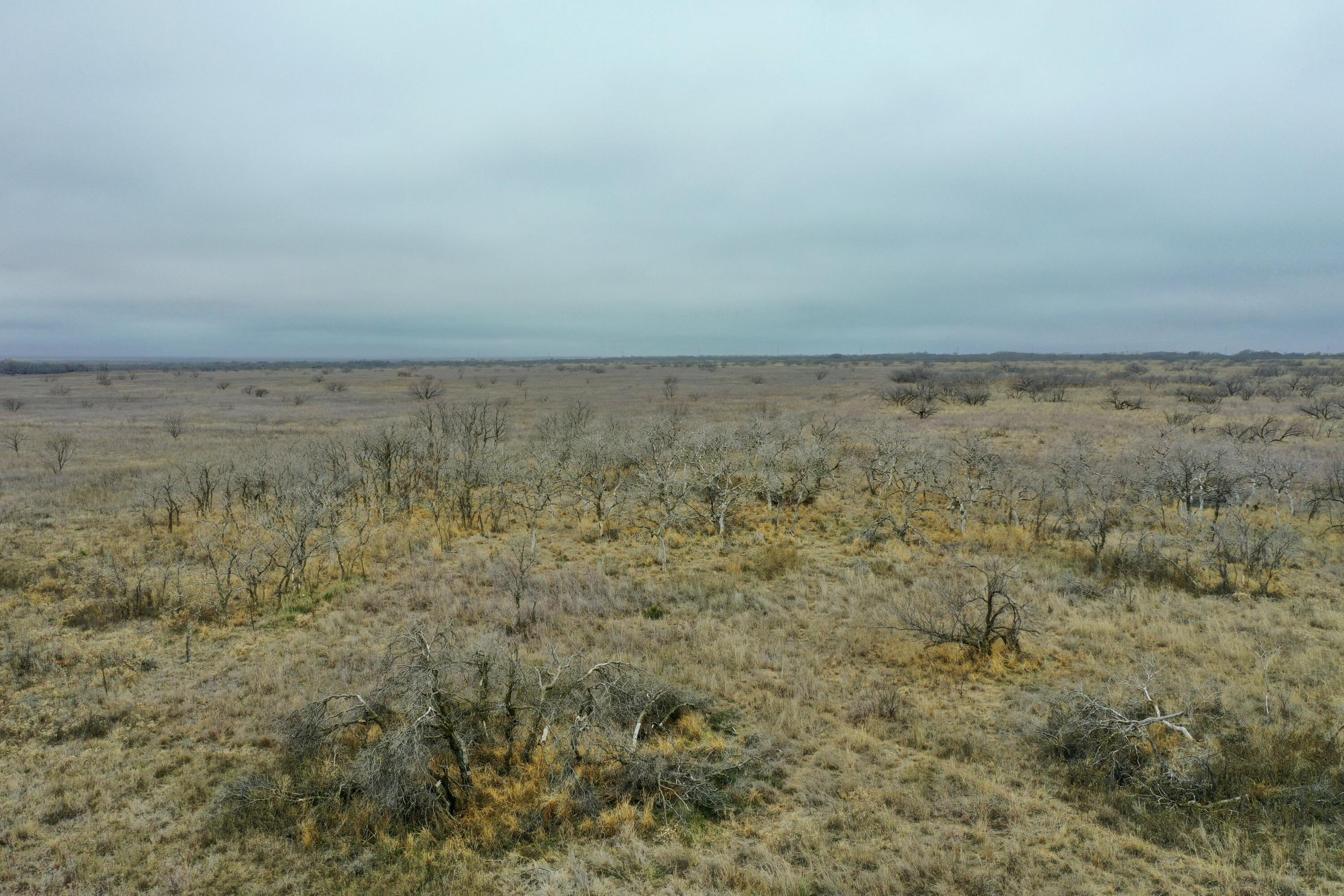 0 Us-70 Flomot, TX 79234 - Photo 19 of 42 a view of wooden floor in a bathroom
