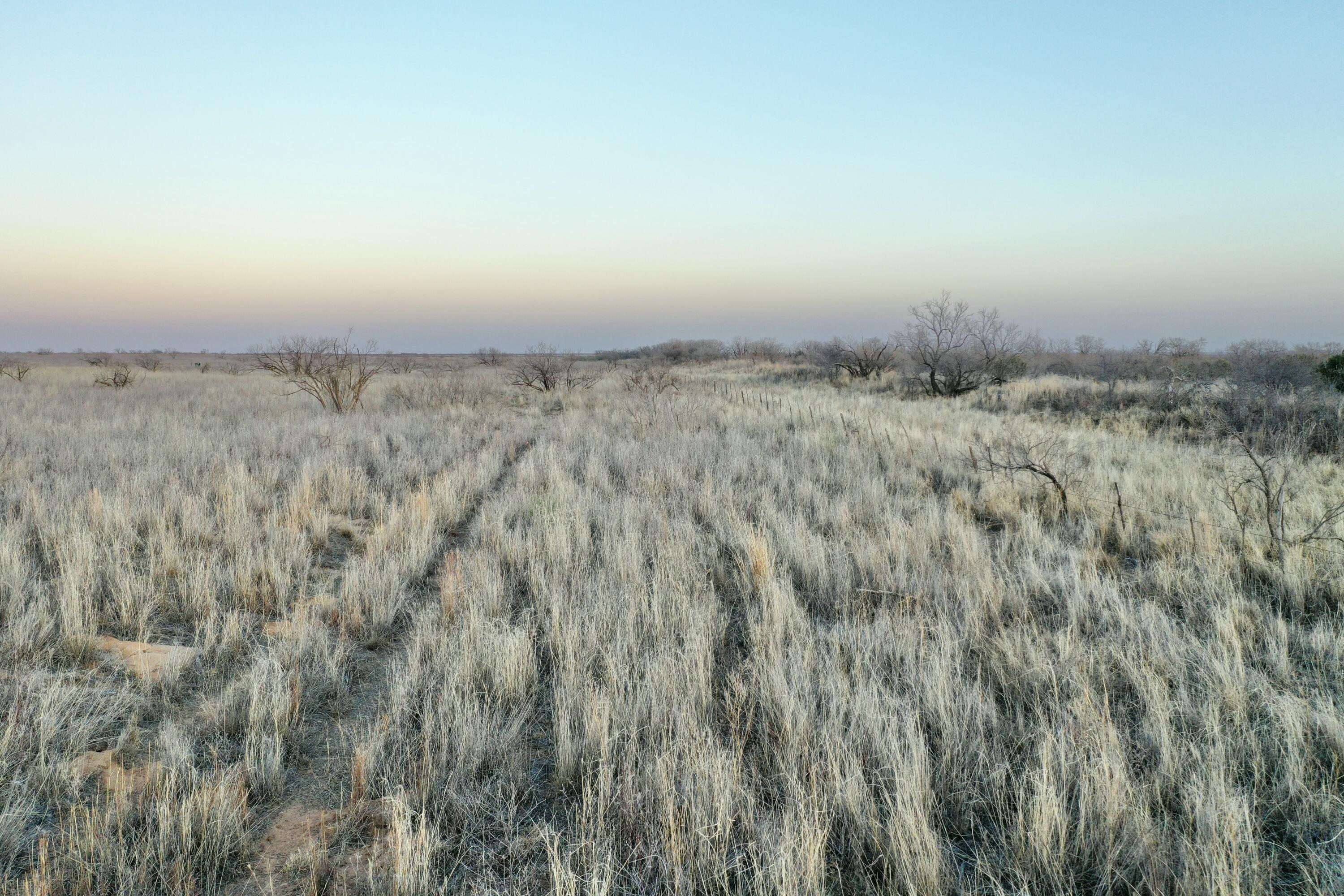 0 Us-70 Flomot, TX 79234 - Photo 2 of 42 a view of a dry yard