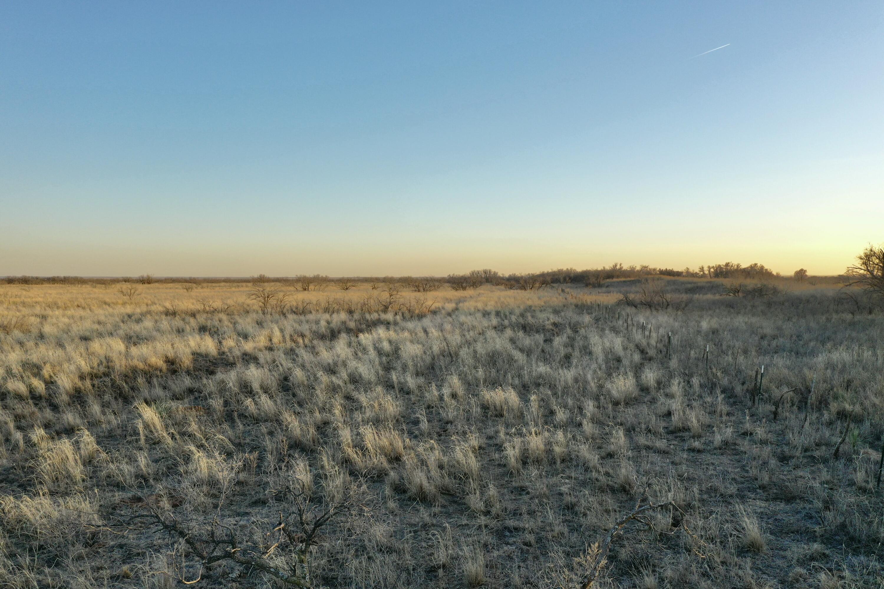 0 Us-70 Flomot, TX 79234 - Photo 23 of 42