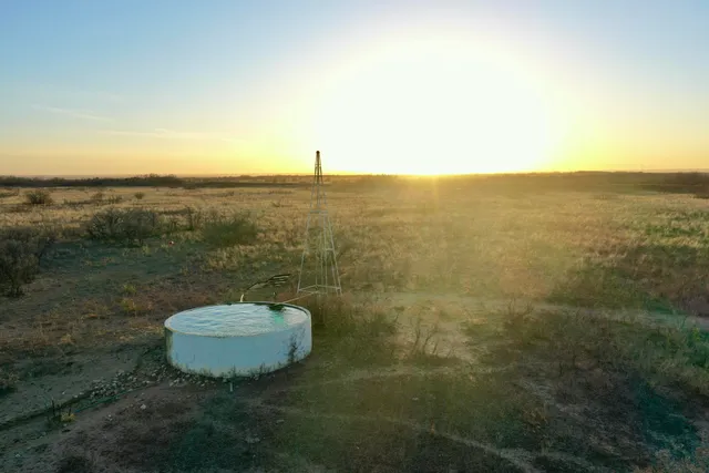 a view of the yard of a building