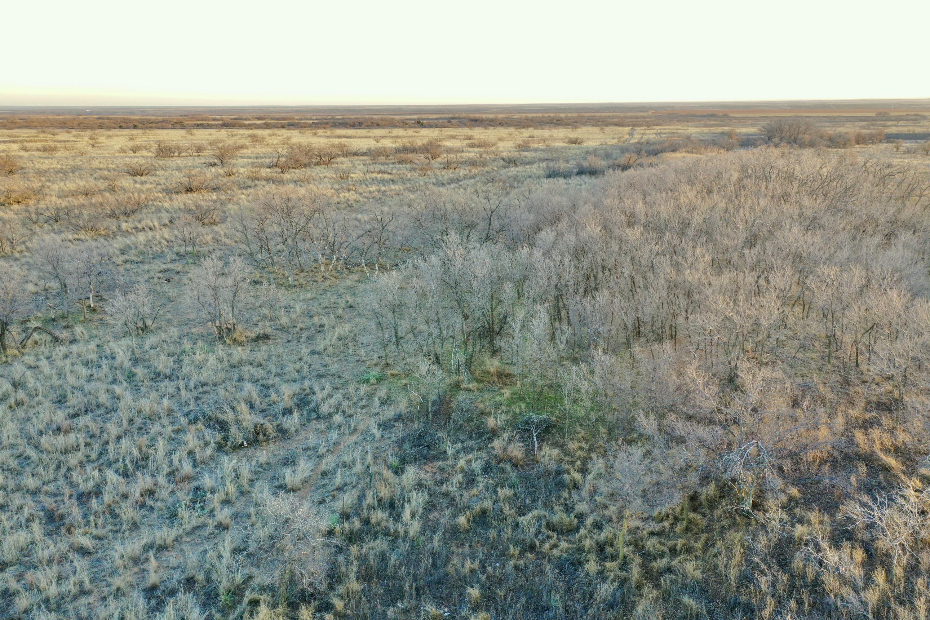 0 Us-70 Flomot, TX 79234 - Photo 29 of 42 an aerial view of beach and residential space