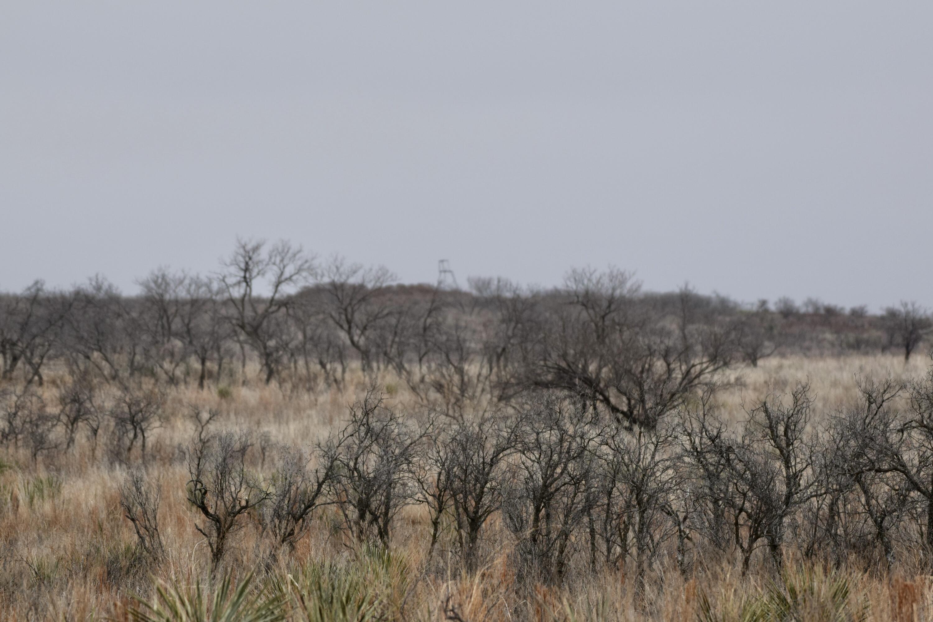 0 Us-70 Flomot, TX 79234 - Photo 36 of 42 a view of mountains and mountain