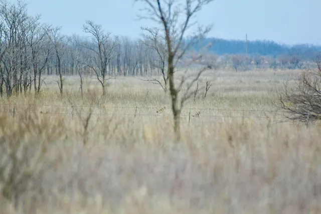 $1,446,200 | 0 Us-70, Flomot, TX 79234