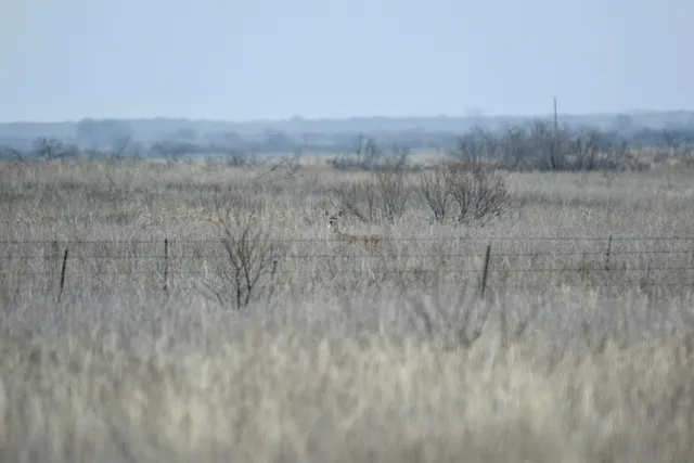 $1,446,200 | 0 Us-70, Flomot, TX 79234