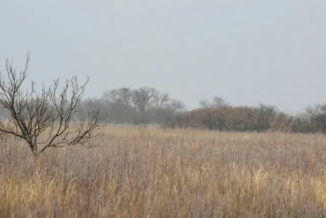 $1,446,200 | 0 Us-70, Flomot, TX 79234