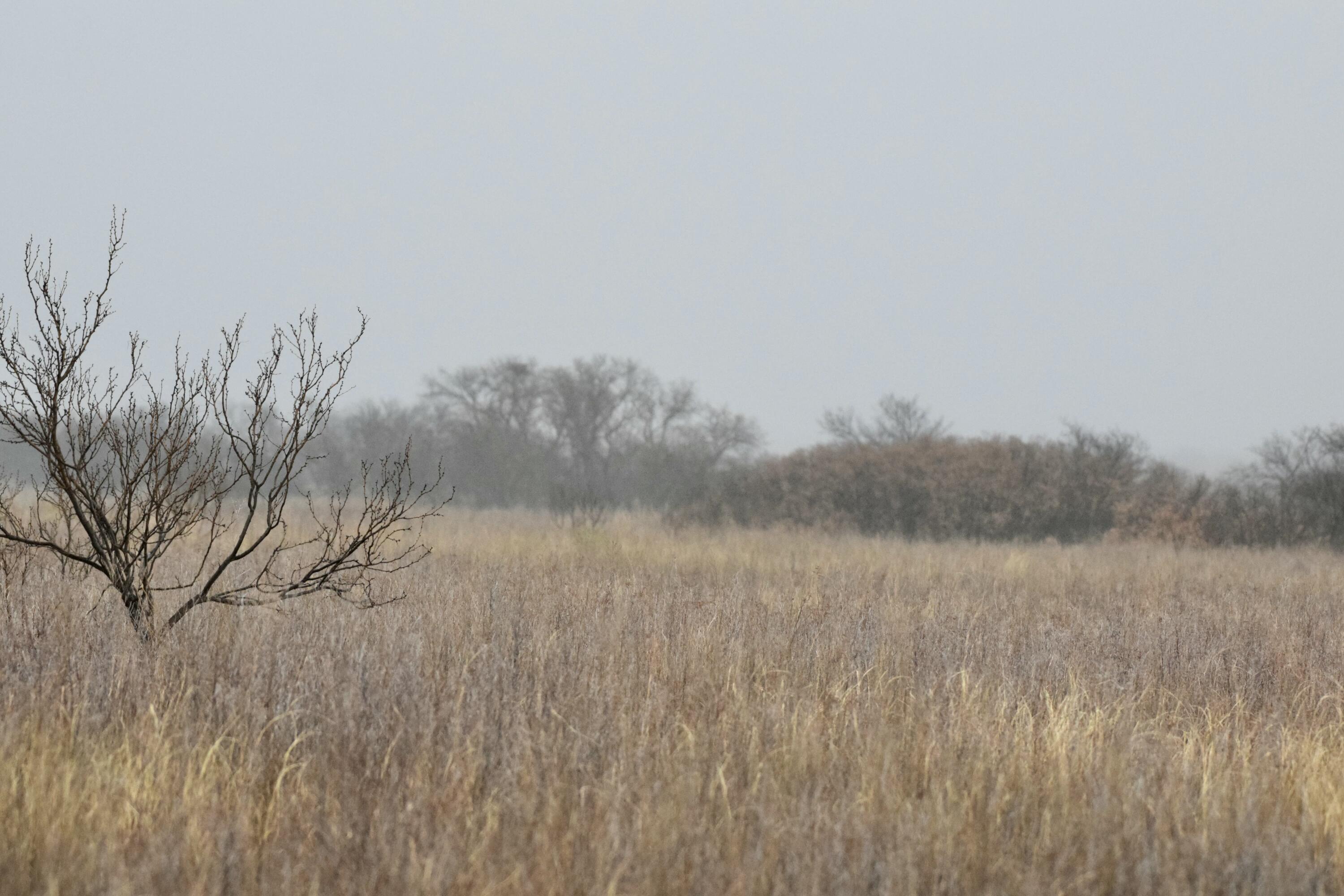 0 Us-70 Flomot, TX 79234 - Photo 40 of 42 a view of a lake view