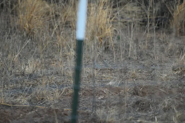 $1,446,200 | 0 Us-70, Flomot, TX 79234