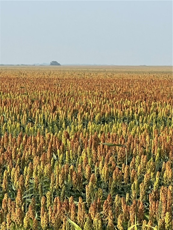 0 Fm-2044 Alice, TX 78332 - Photo 18 of 21