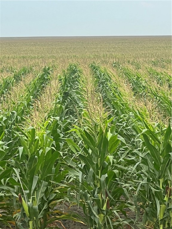 0 Fm-2044 Alice, TX 78332 - Photo 20 of 21