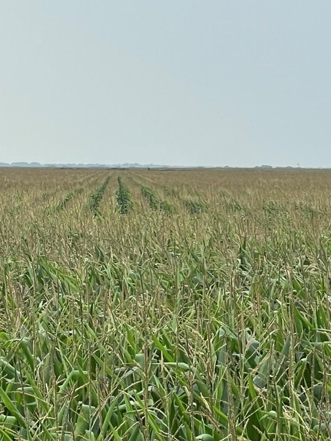 0 Fm-2044 Alice, TX 78332 - Photo 21 of 21