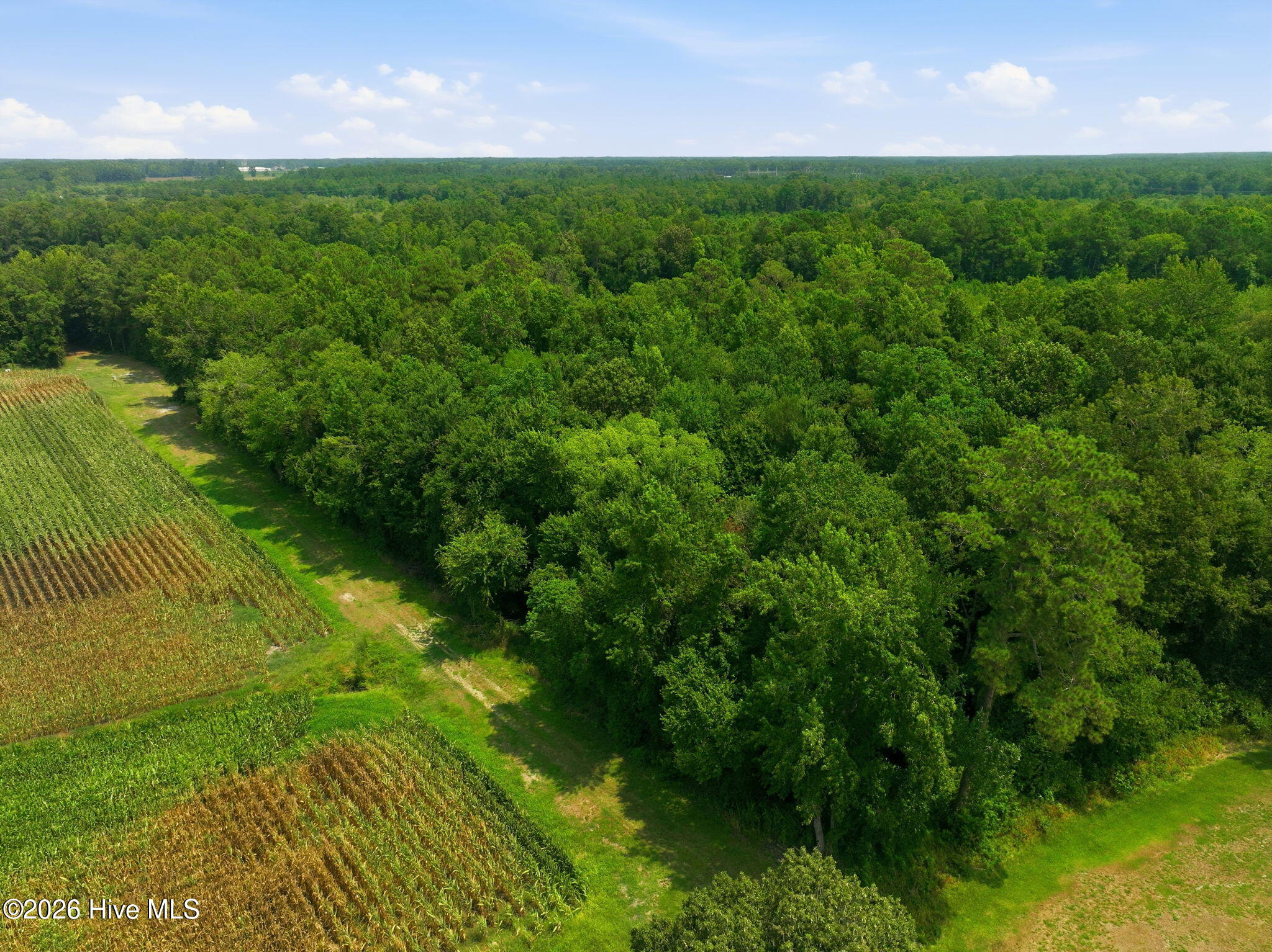 270 Buck Jones Road Wallace, NC 28466 - Photo 37 of 70 Gallery Image 37