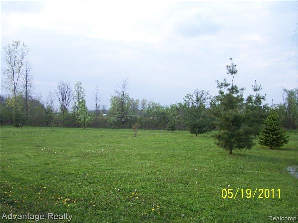 519 Wheeling Road Imlay City, MI 48444 - Photo 3 of 21 100_6489