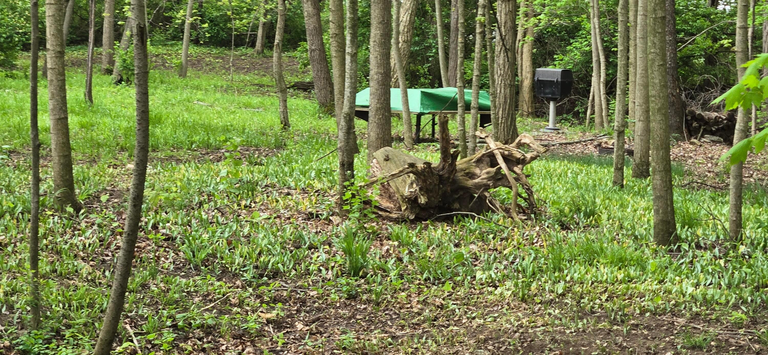9421 Winchester Road Groveport, OH 43125 - Photo 47 of 55 1000006087