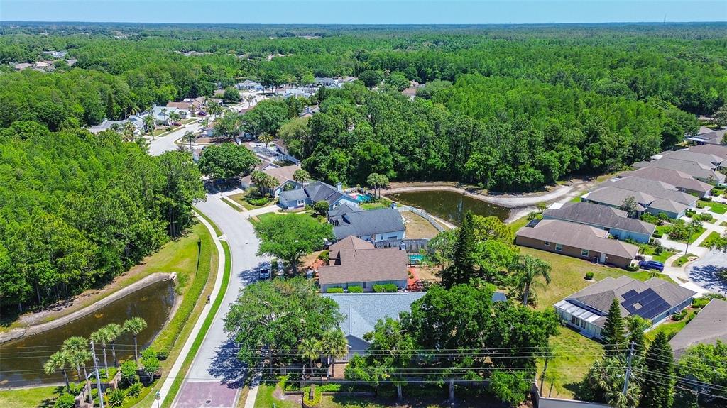 7730 Grimsby Lane New Port Richey, FL 34655 - Photo 11 of 48 an aerial view of house with a yard