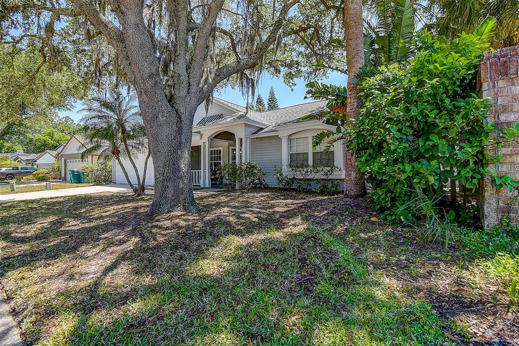 7730 Grimsby Lane New Port Richey, FL 34655 - Photo 3 of 48 a front view of a house with a garden
