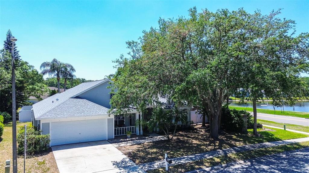7730 Grimsby Lane New Port Richey, FL 34655 - Photo 6 of 48