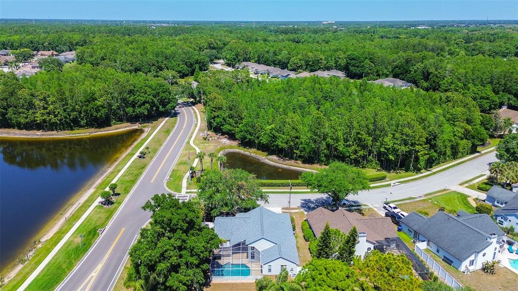 7730 Grimsby Lane New Port Richey, FL 34655 - Photo 8 of 48 an aerial view of house with a yard