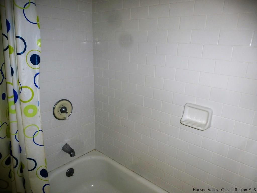 30 Peak Road Stone Ridge, NY 12484 - Photo 12 of 22 closeup of a shower curtain