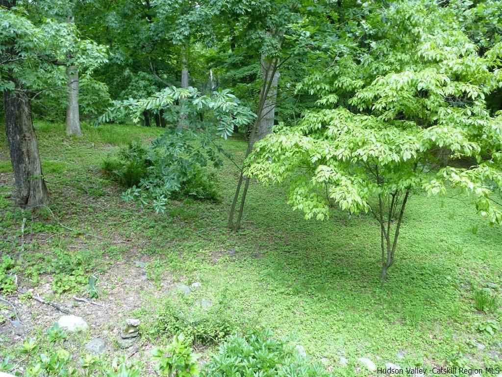 30 Peak Road Stone Ridge, NY 12484 - Photo 16 of 22 a view of a lush green forest