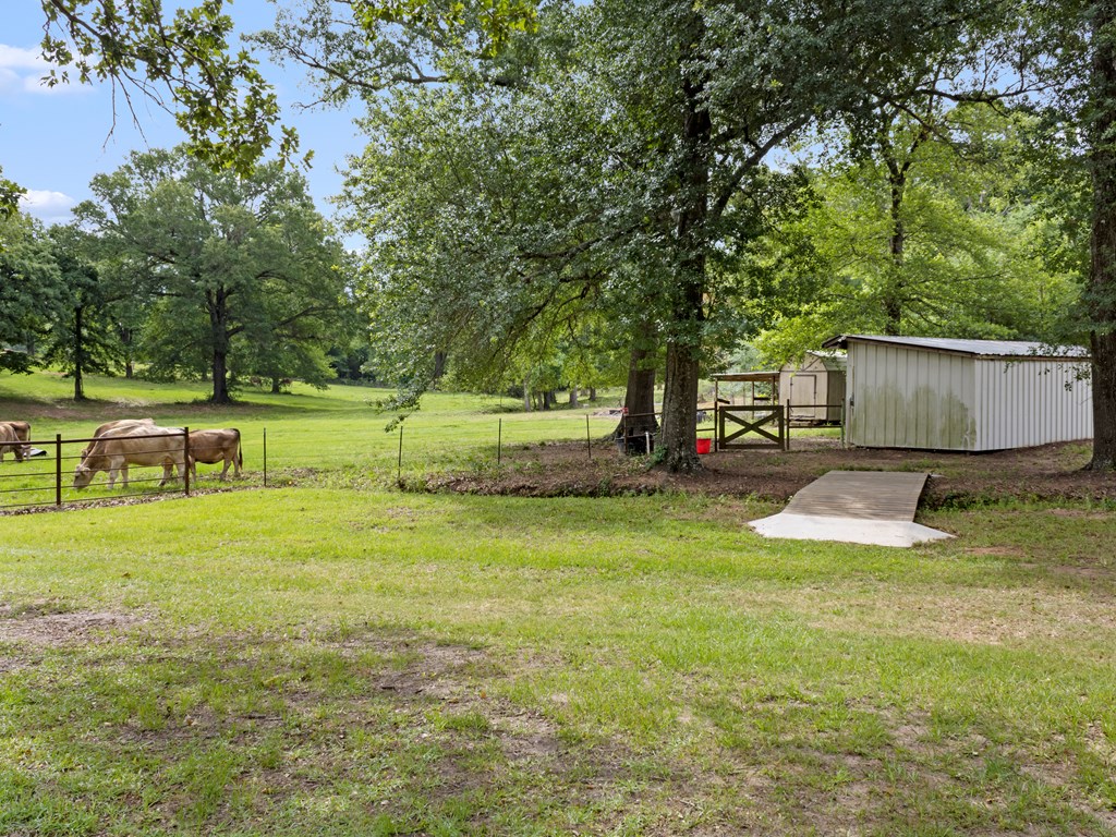 380 An County Road Palestine, TX 75803 - Photo 9 of 62