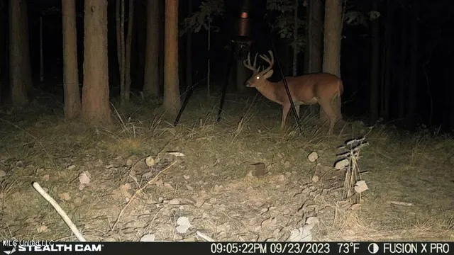 $210,000 | 5925 Thyatira Tyro, Como, MS 38619