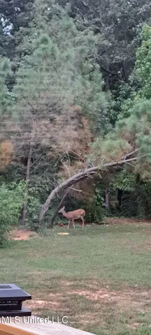 $210,000 | 5925 Thyatira Tyro, Como, MS 38619