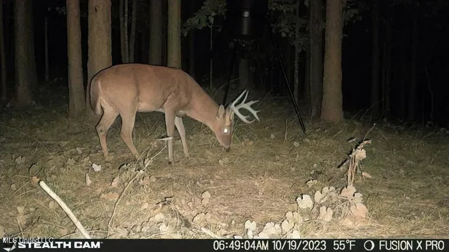 $210,000 | 5925 Thyatira Tyro, Como, MS 38619