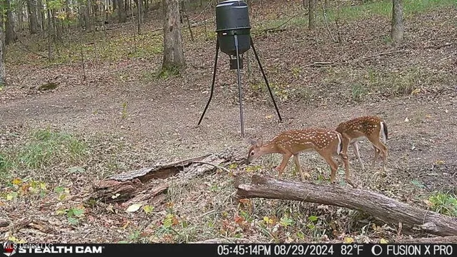 $210,000 | 5925 Thyatira Tyro, Como, MS 38619