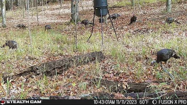 $210,000 | 5925 Thyatira Tyro, Como, MS 38619