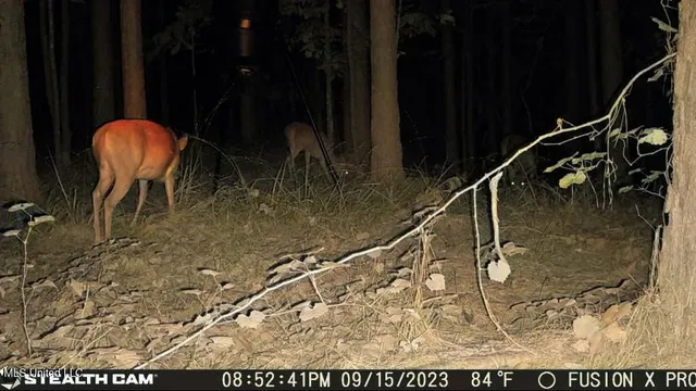 $210,000 | 5925 Thyatira Tyro, Como, MS 38619