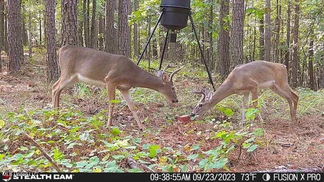 $210,000 | 5925 Thyatira Tyro, Como, MS 38619