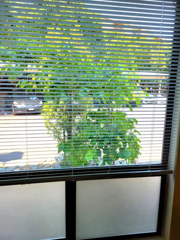 a view of outdoor space with patio