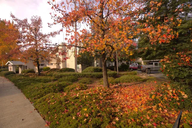 $315,000 | 741 Mikkelsen Drive, Auburn, CA 95603