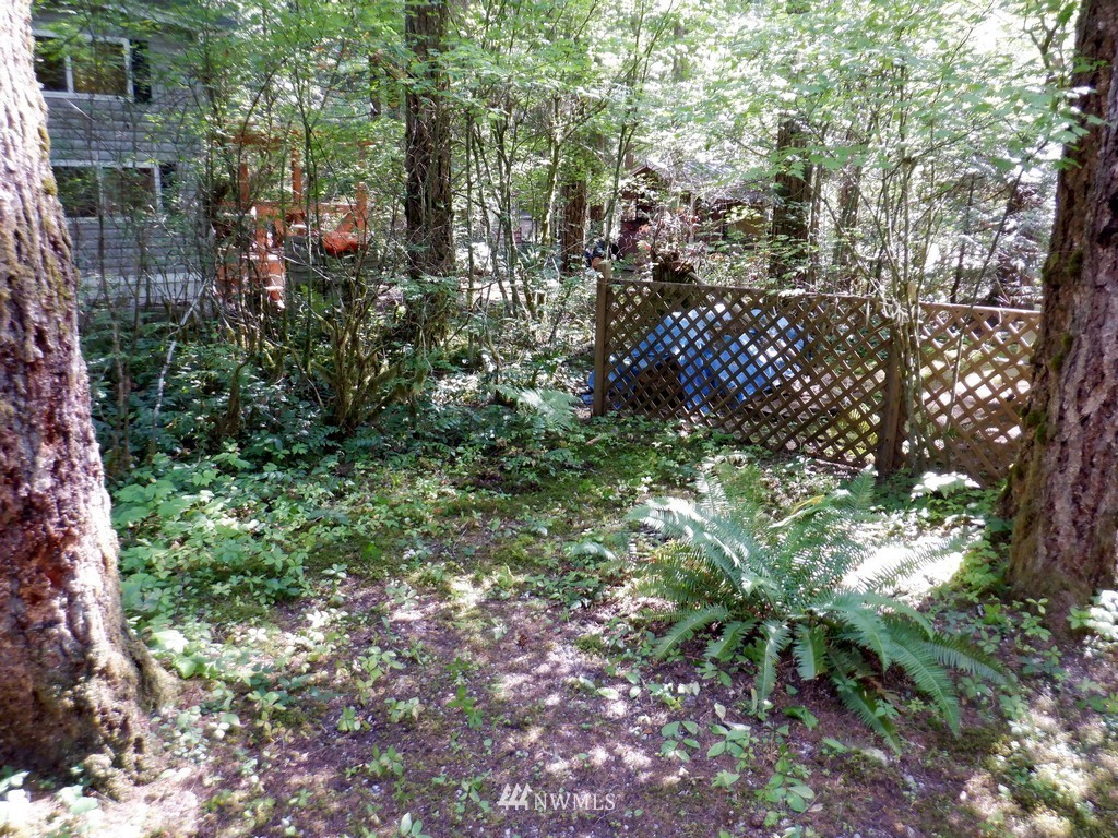 145-1 Goldrush Road Deming, WA 98244 - Photo 13 of 25 Gallery Image 13