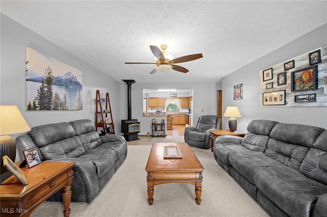 40725 Biggs Road Lagrange, OH 44050 - Photo 3 of 47 Gallery Image 3
