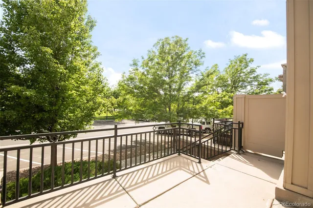 a view of a yard with plants and tree