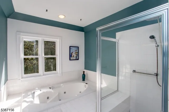 a bathroom with a bathtub and a shower