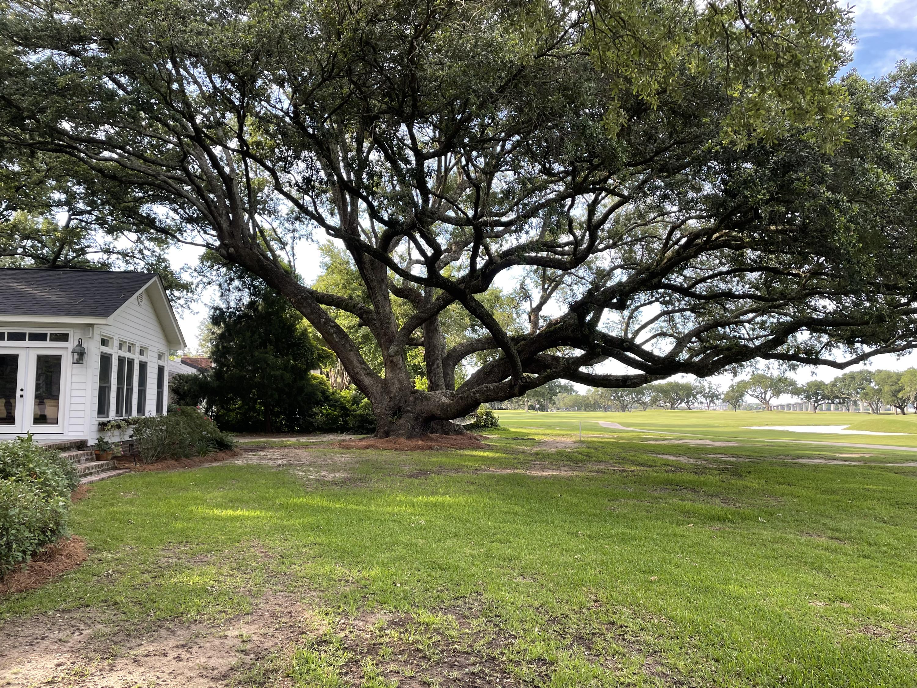 1445 Burningtree Road Charleston, SC 29412 - Photo 32 of 34 FCA3263E-F587-4331-9988-FCFB7F3A71D2