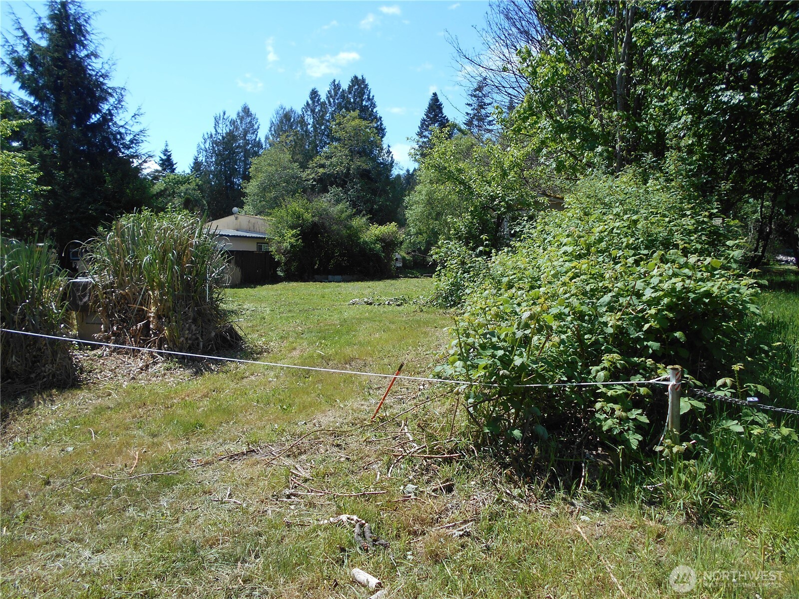 170 Kelly Road Brinnon, WA 98320 - Photo 5 of 29 a view of a backyard