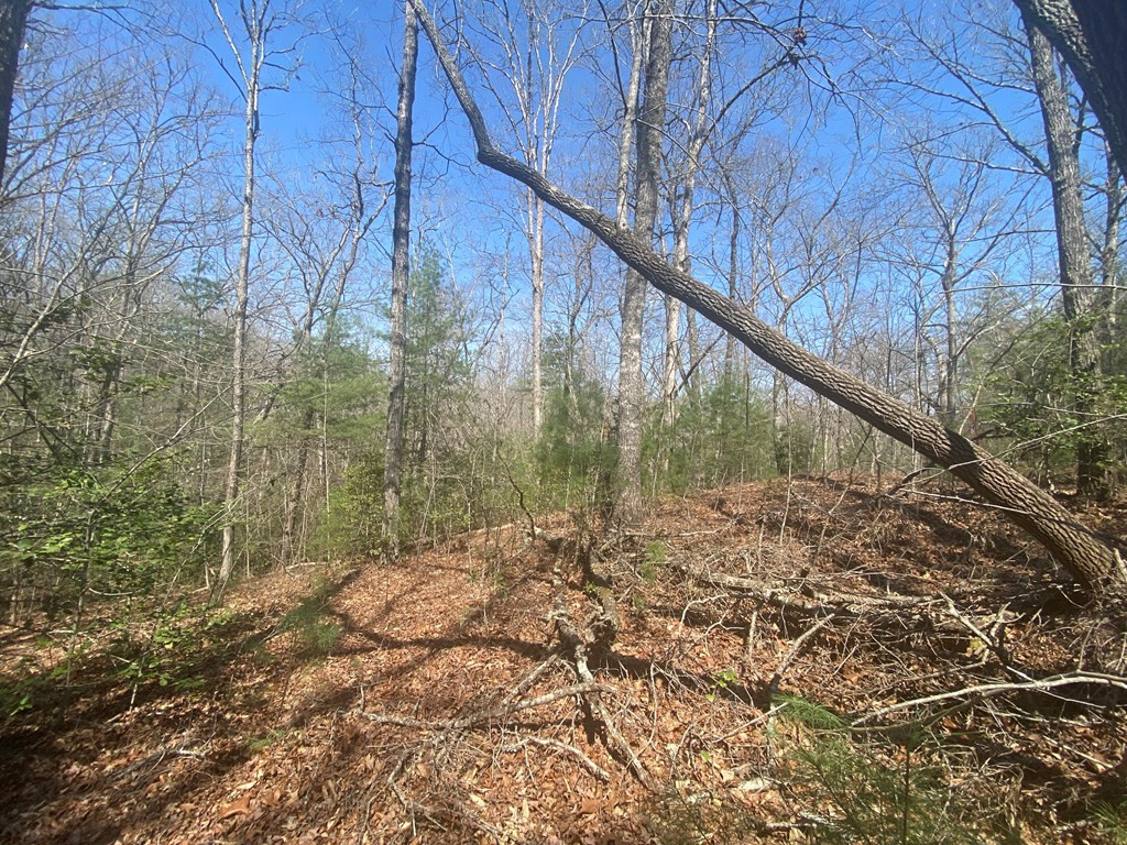 0 Hilltop Road Murphy, NC 28906 - Photo 8 of 16