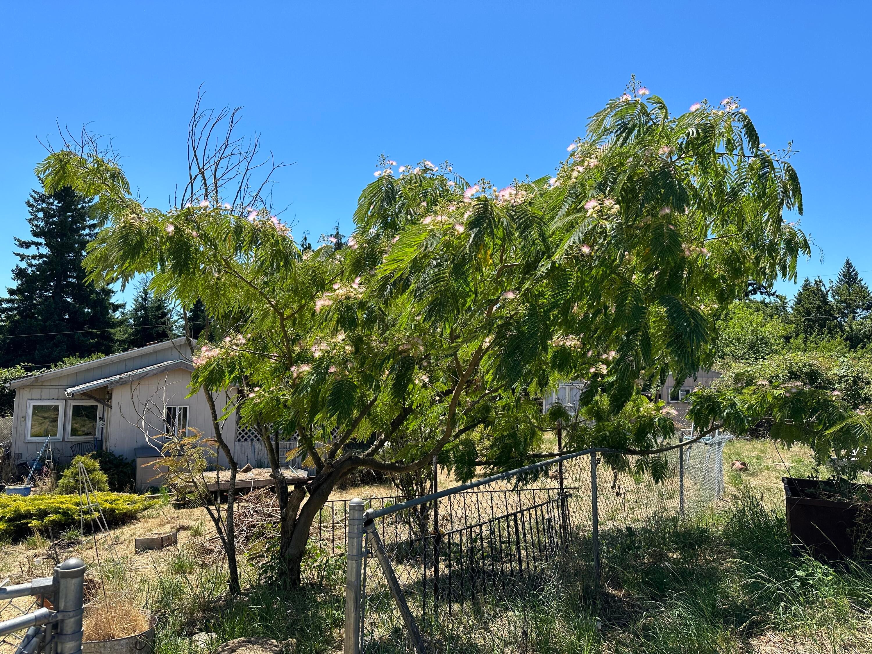 28003 South Gard Road Mulino, OR 97042 - Photo 20 of 43 IMG_2900