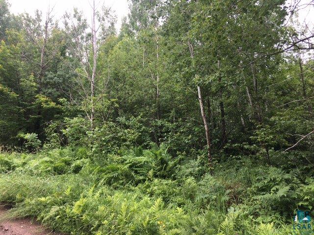 Xxx Homstad Road Cromwell, MN 55726 - Photo 2 of 5 Gallery Image 2