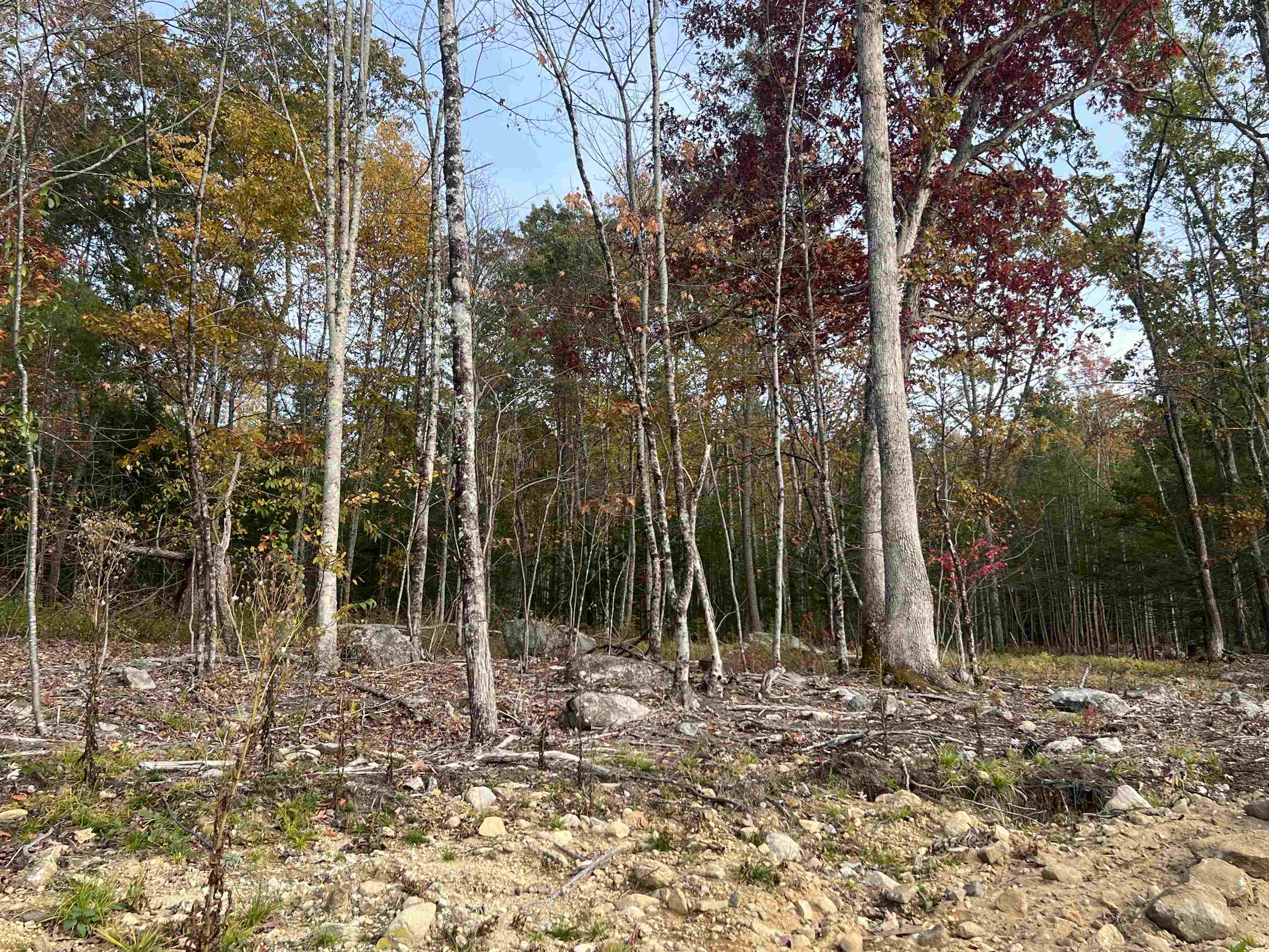 101-2 Seaverns Bridge Road Merrimack, NH 03054 - Photo 41 of 43